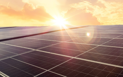 300 megawatt napelem- és energiatároló kapacitás kiépüléséhez járul hozzá a Trustify a következő években