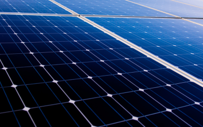 Újabb lépés a fenntarthatóság felé: napelemparkot alakít ki a Trustify Kiskunhalason