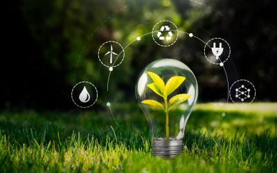 A magántőke nélkül nincs valódi energiafüggetlenség – a zöld beruházások új korszaka Magyarországon