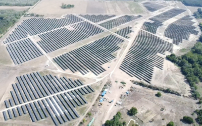 Újabb lépés a fenntarthatóság felé: napelemparkot alakít ki a Trustify Kiskunhalason