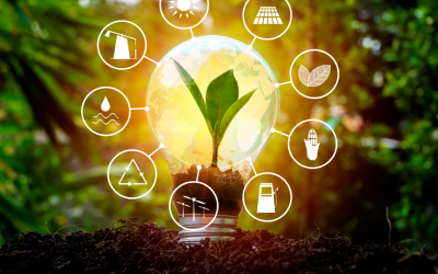 A magántőke nélkül nincs valódi energiafüggetlenség – a zöld beruházások új korszaka Magyarországon