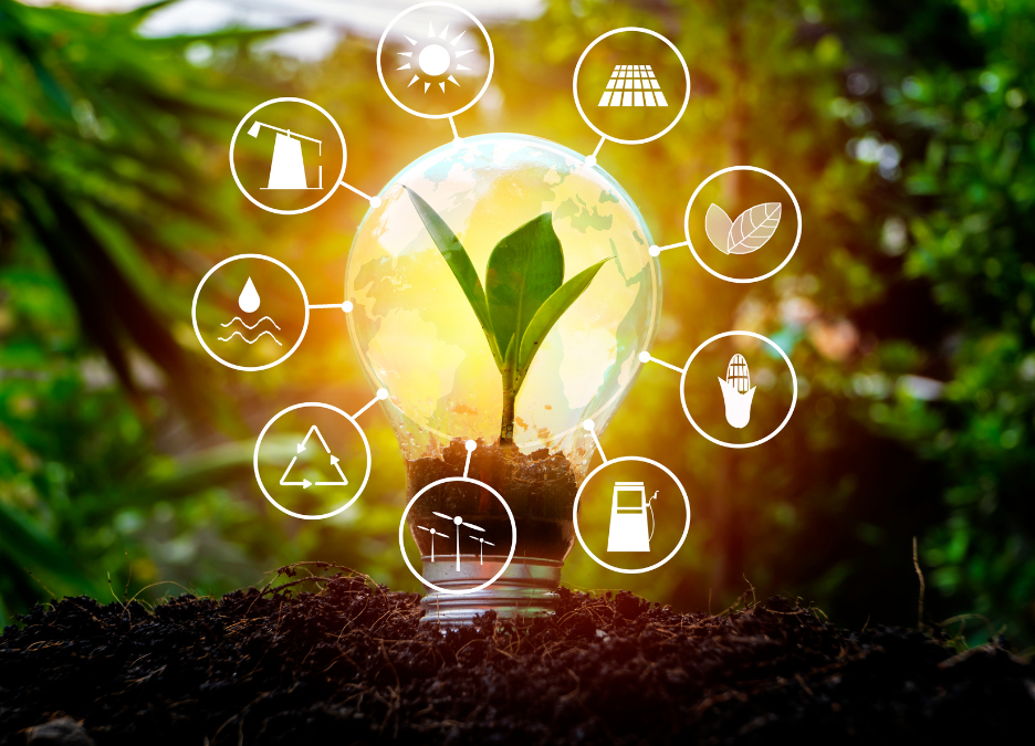 A magántőke nélkül nincs valódi energiafüggetlenség – a zöld beruházások új korszaka Magyarországon